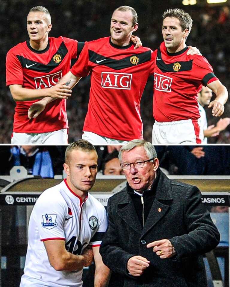 Tom Cleverley reveals how Sir Alex ripped into him after he questioned Ferguson about his position